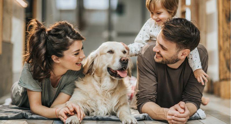 Famille souriante avec enfant et labrador